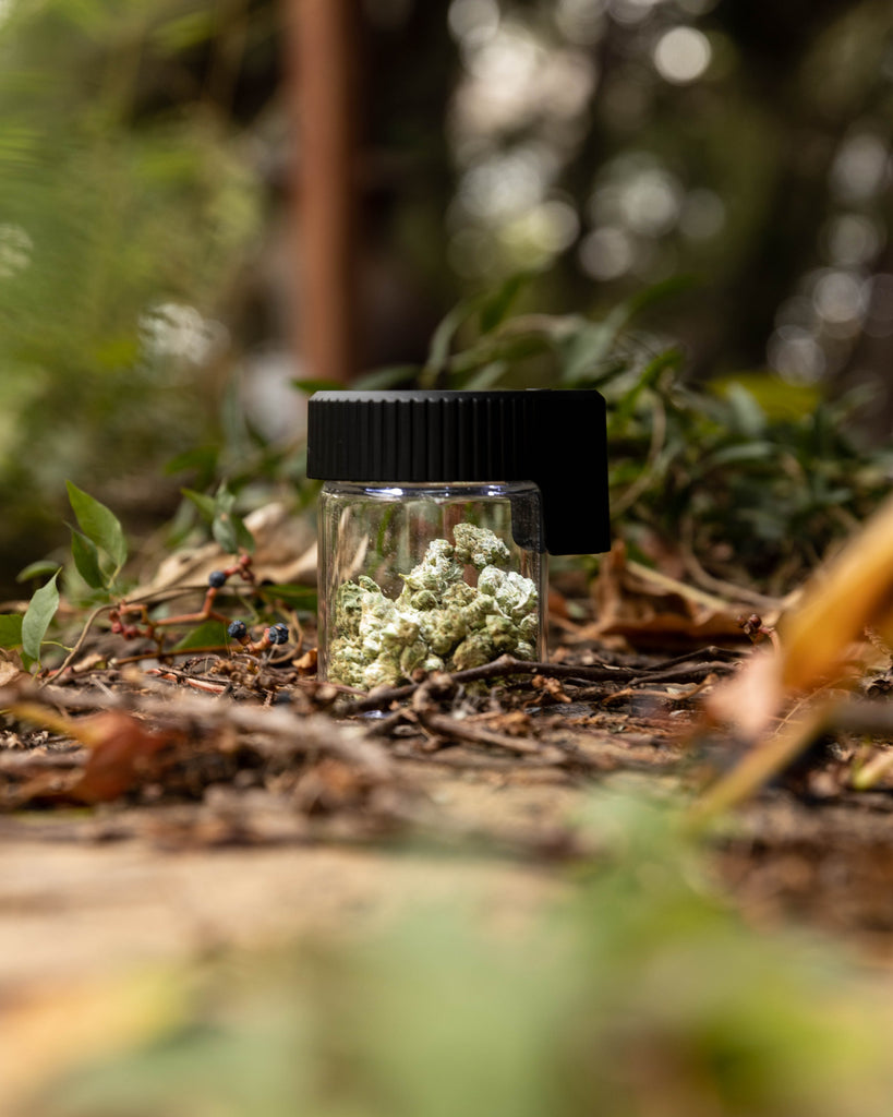 Real Jar True View Jars