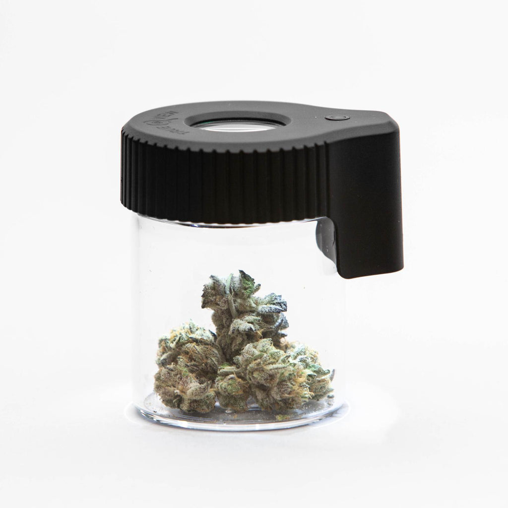 LIGHT-UP LED TRANSPARENT GLASS AIR-TIGHT MAGNIFYING STORAGE VIEWING JAR